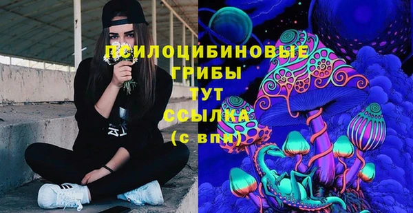 винт Алексеевка