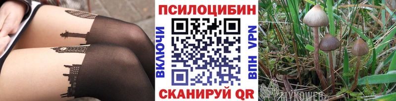 Псилоцибиновые грибы MAGIC MUSHROOMS  Солнечногорск 